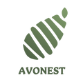 Avonest